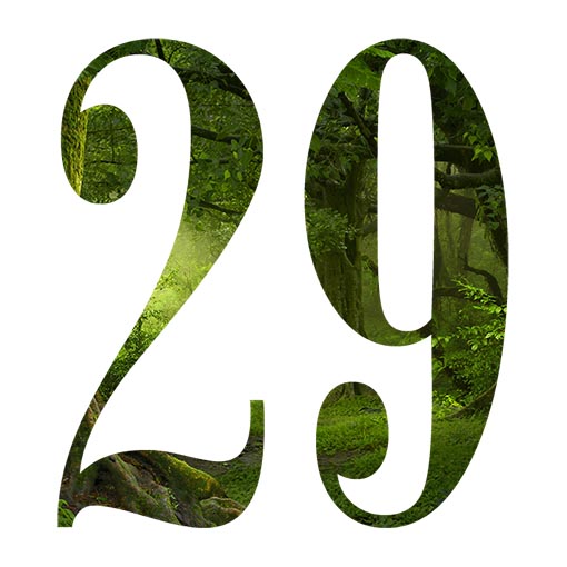 29 29: mələk mənası və numerologiya