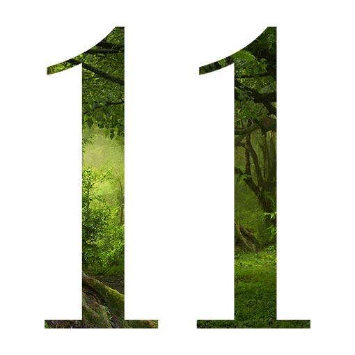 Numero 11: signifo kaj simbologio
