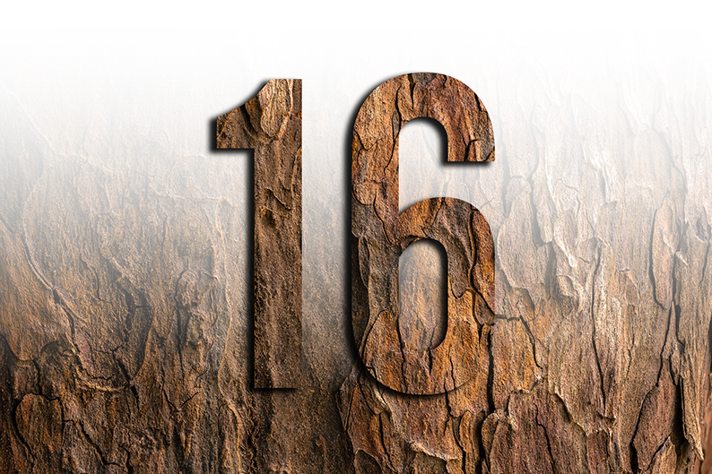 شماره 16: معنا و نماد