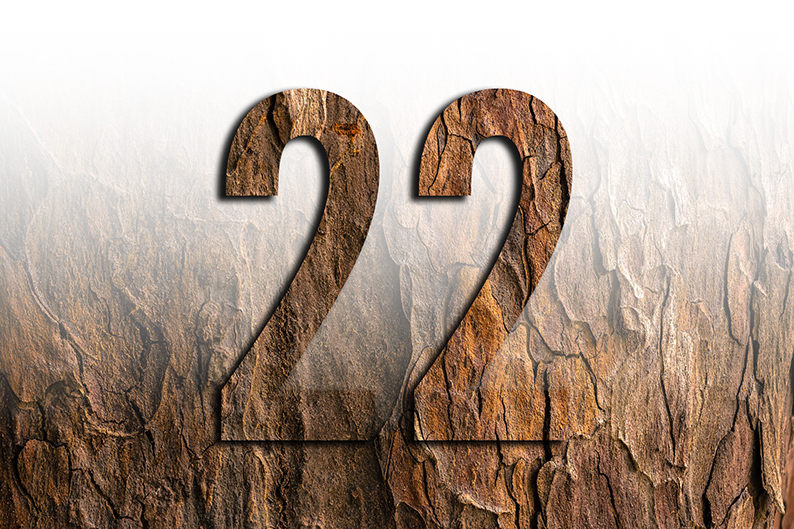 Numero 22: signifo kaj simbologio