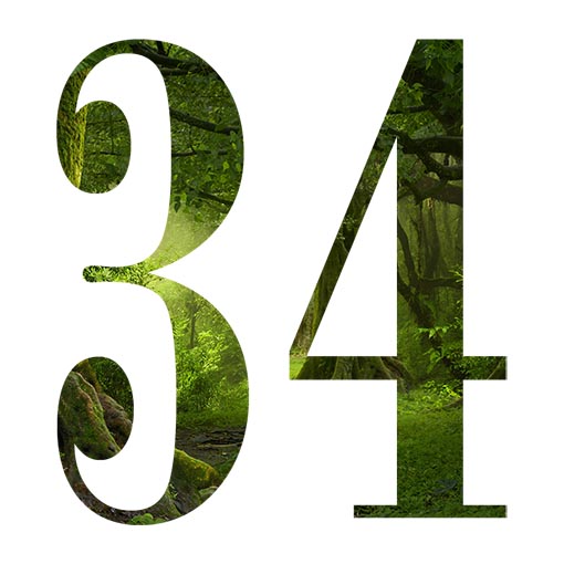 Numero 34: merkitys ja numerologia