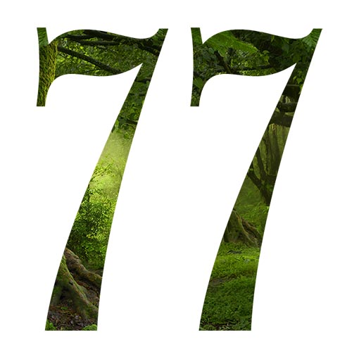 Rhif 77: ystyr a symboleg