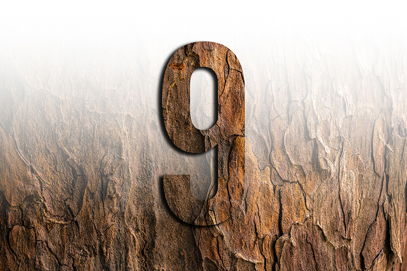 背番号9：意味と象徴