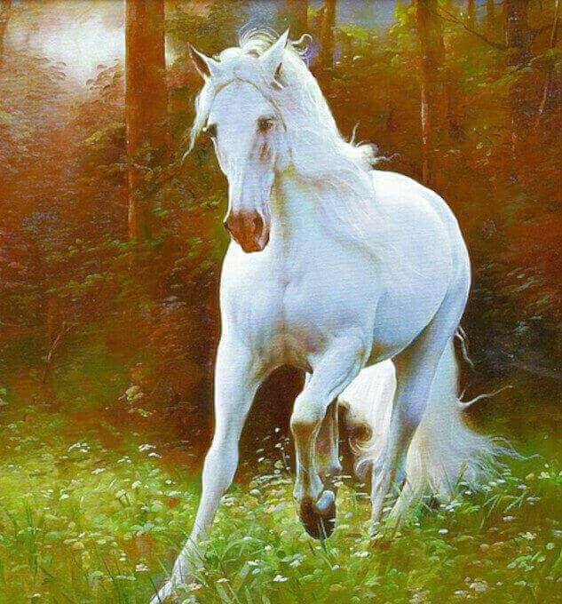 Beyaz bir at hayal etmek